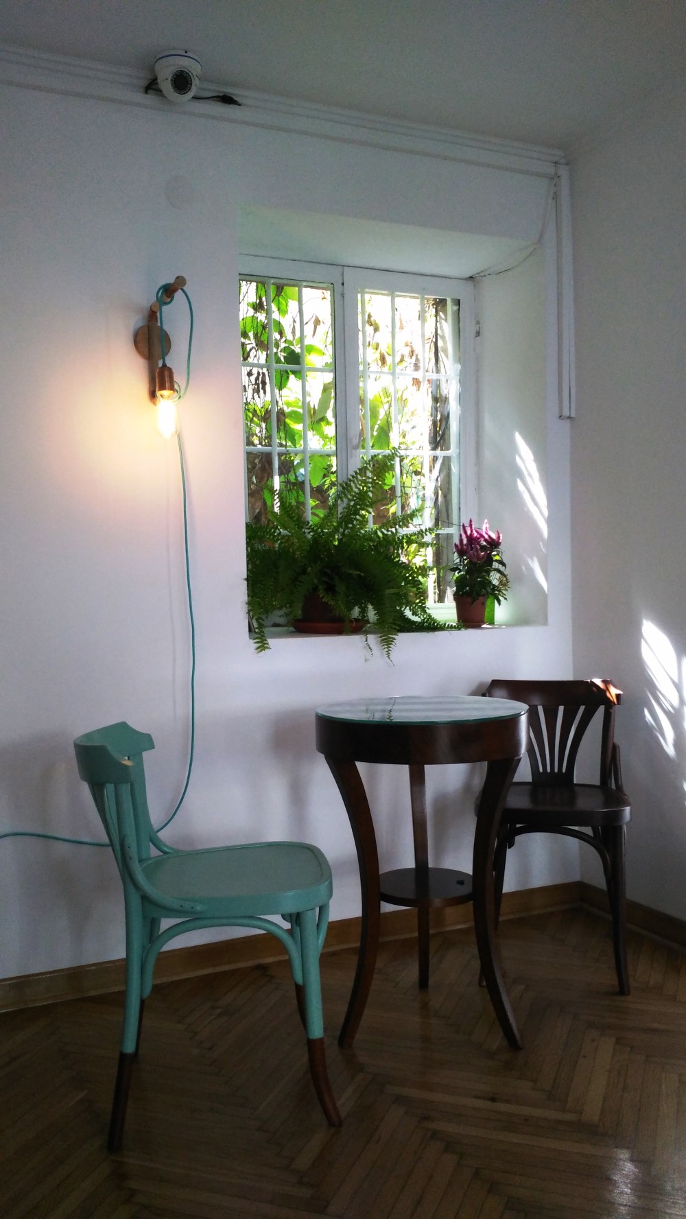 Foto: Mladen Savković